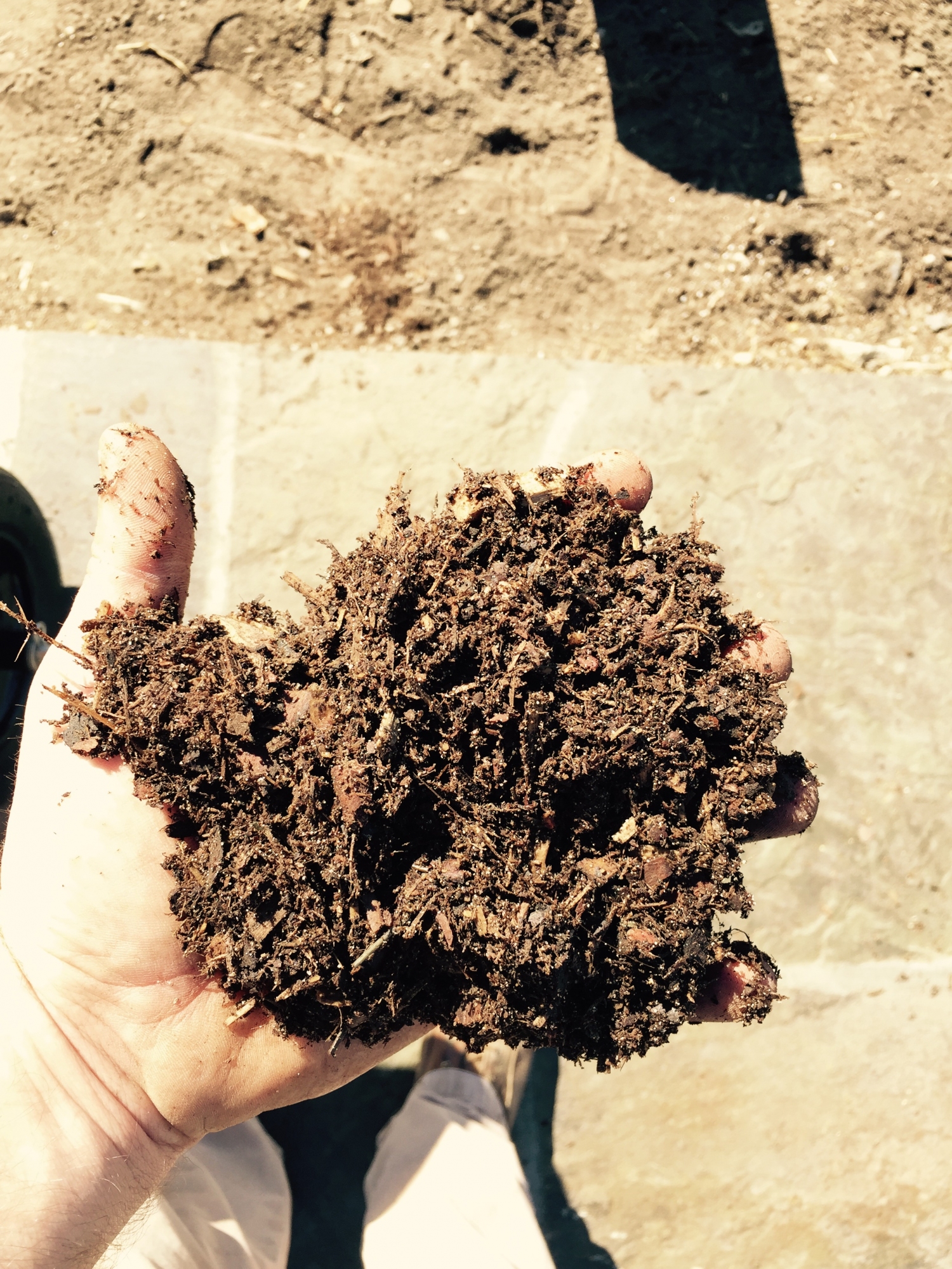 Vidosh north employee with mulch in hand