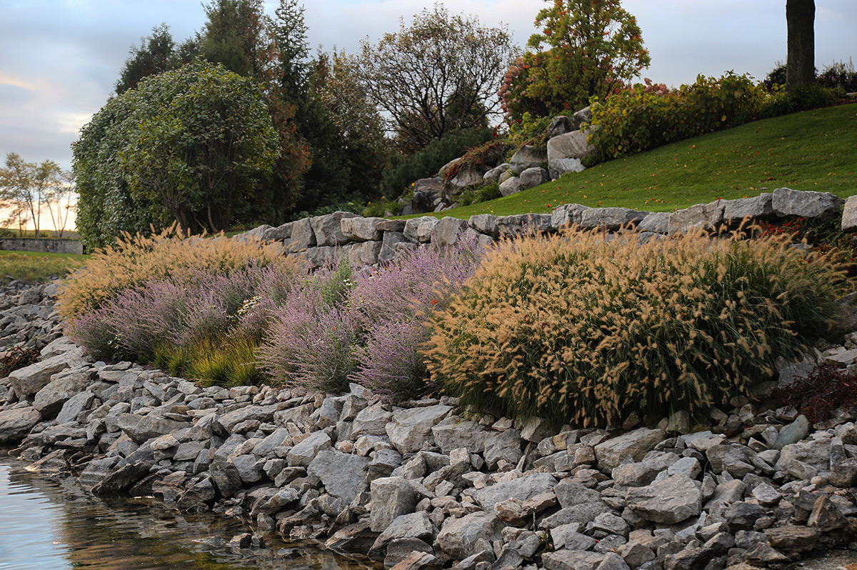 Natural Plantings Against Rocks on Shoreline