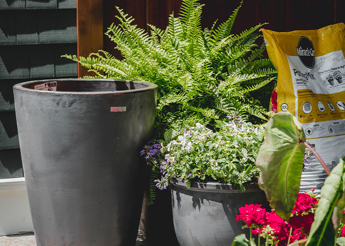 Concrete planters for seasonal Northern Michigan plants
