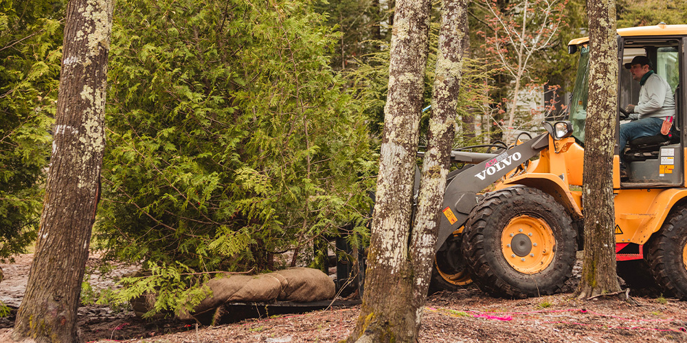 Vidosh North employee using tractor to plant trees